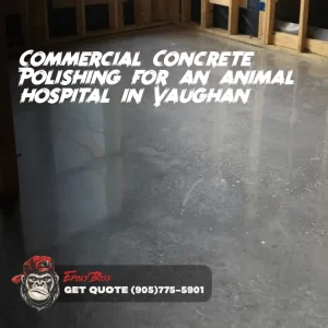 Commercial Concrete Polishing for an animal hospital in Vaughan.